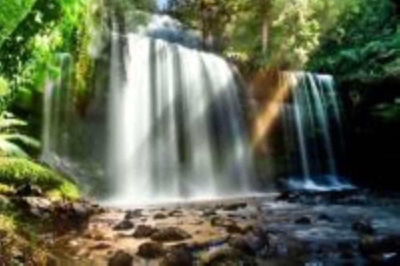Russell Falls Holiday Cottages National Park Esterno foto