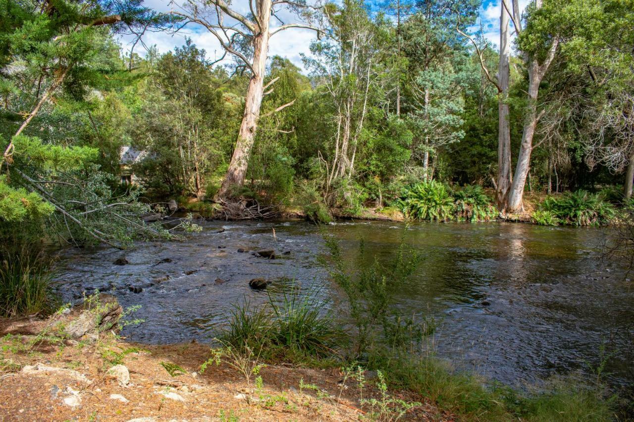 Russell Falls Holiday Cottages National Park Esterno foto